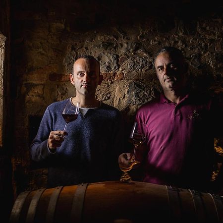 Wine Resort Colsereno 蒙塔尔奇诺 外观 照片