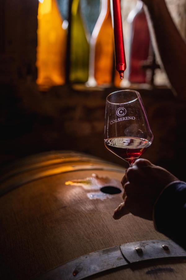 Wine Resort Colsereno 蒙塔尔奇诺 外观 照片