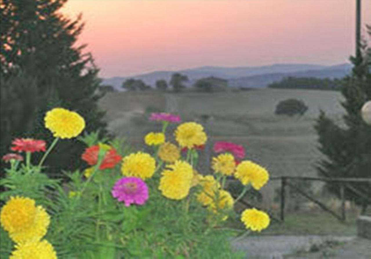 Wine Resort Colsereno 蒙塔尔奇诺 外观 照片