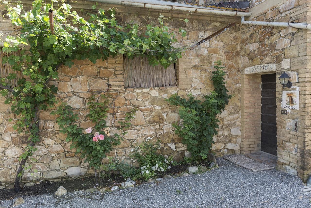 Wine Resort Colsereno 蒙塔尔奇诺 外观 照片