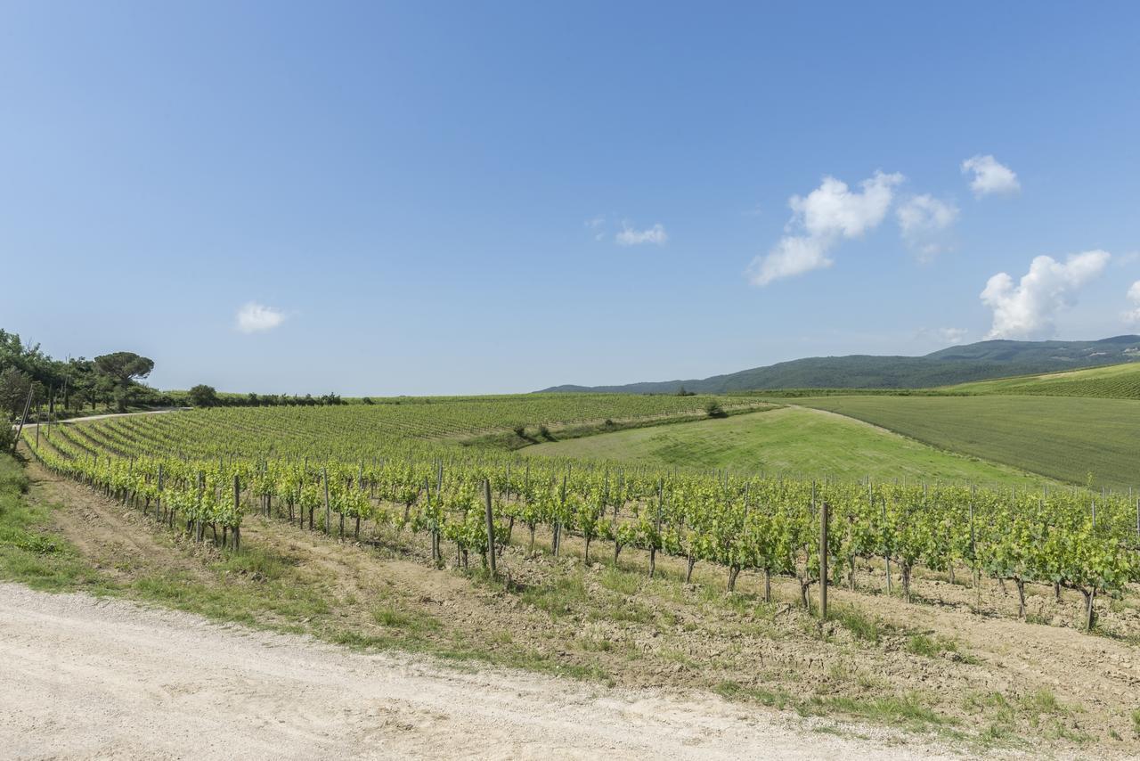Wine Resort Colsereno 蒙塔尔奇诺 外观 照片